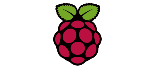 raspberry logo